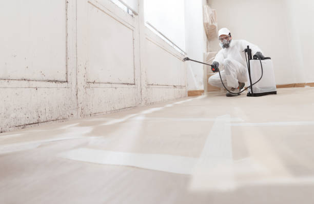 24/7 Emergency Attic Mold Remediation experts in Suitland, MD